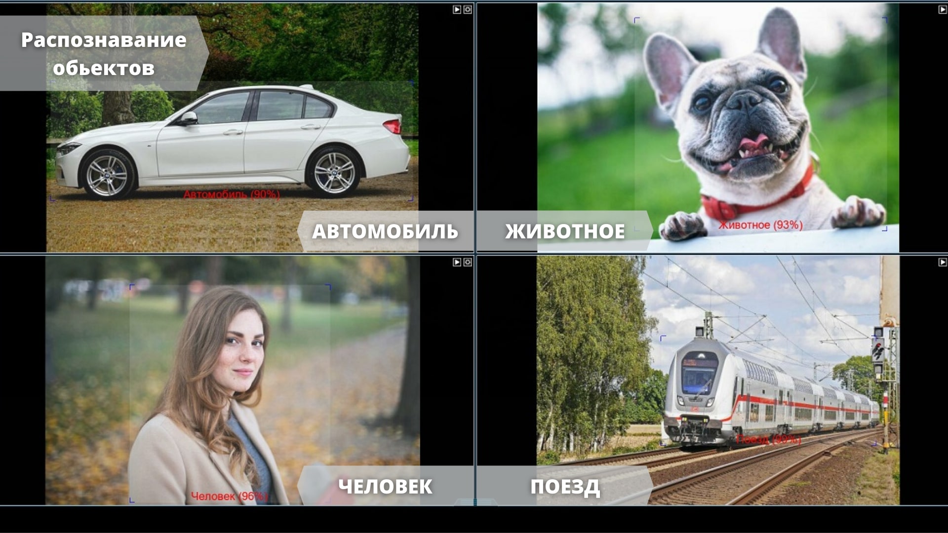 Искусственный интеллект в Xeoma: Детектор объектов Искусственный интеллект в Xeoma: Детектор объектов
