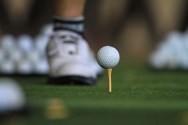 Multifunctional video surveillance system in golf clubs Multifunctional video surveillance system in golf clubs