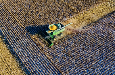 Xeoma video surveillance can hit business tasks of farming businesses Xeoma video surveillance can hit business tasks of farming businesses