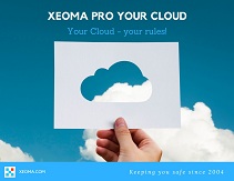 Download the Xeoma Pro Your Cloud presentation in PDF