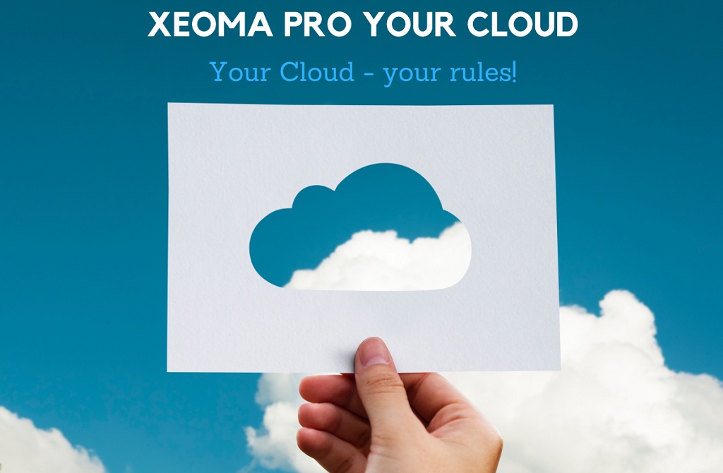 xeoma_video_surveillance_software_vsaas_cloud_for_resellers_en